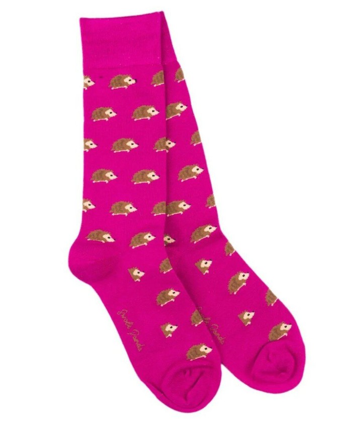 Swole Panda bamboesokken met egels – pink from Lotika