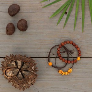 Armbanden set van tagua en acai - Laila oker/bruin from MoreThanHip