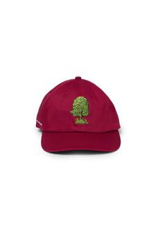 Tree Cap x Museo del Prado via NWHR