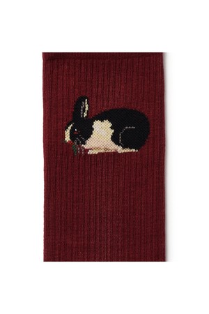 Rabbit Socks x Museo del Prado from NWHR