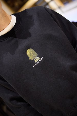 Crewneck flying fish x Museo del Prado from NWHR