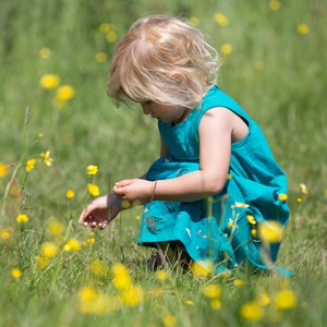 LITTLE GREEN RADICALS Zomerjurkje van biokatoen met vogels from Olifant en Muis