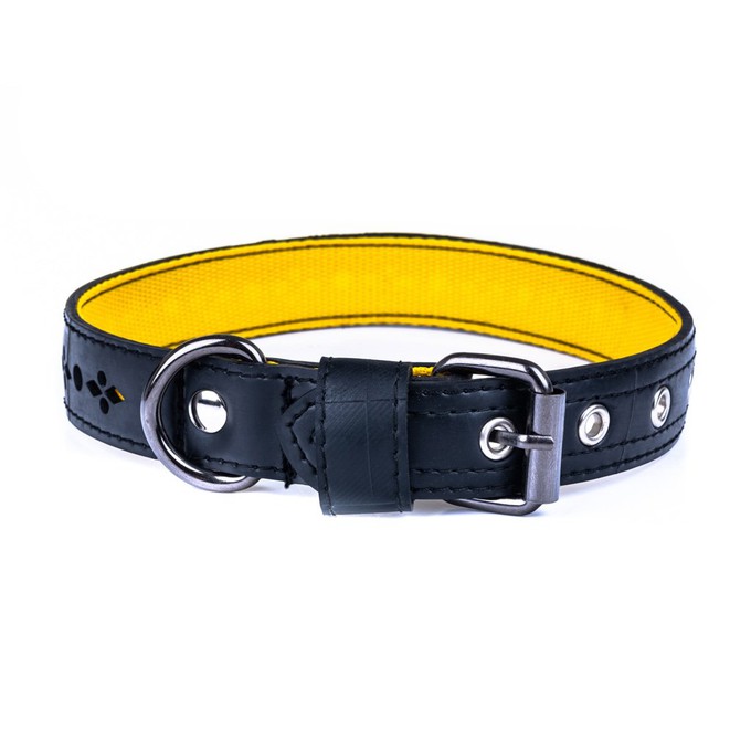 Eco Friendly Recycled Inner Tube Vegan Dog Collar from Paguro Upcycle