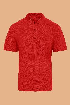 Pitod Polo Shirt Unisex via Pitod