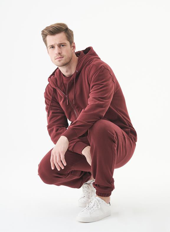 Unisex Zip-Up Hoodie Junda Bordeaux from Shop Like You Give a Damn