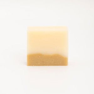 Citrus Shampoo Bar from Shop Like You Give a Damn