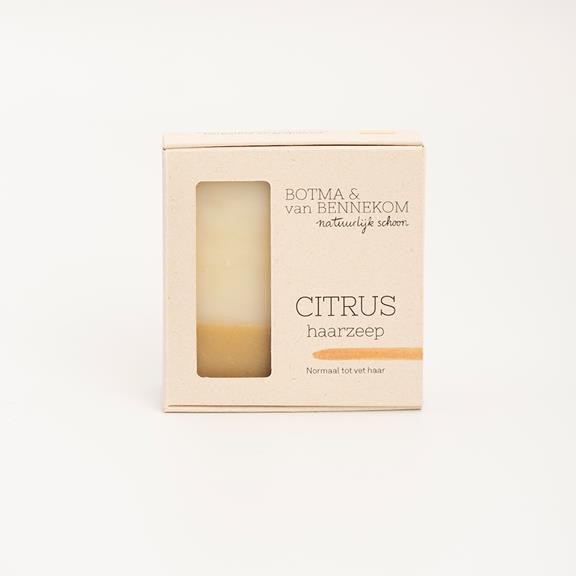 Citrus Shampoo Bar from Shop Like You Give a Damn