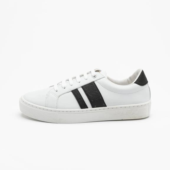 Sneakers Ames Charcoal from Shop Like You Give a Damn