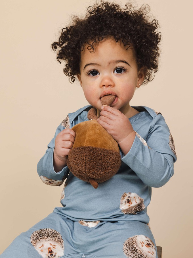 Hedgy Blue Boxpakje lange mouwen Baby from SNURK