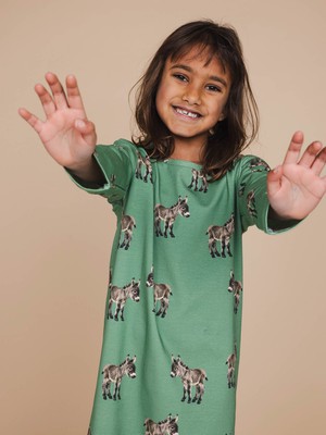 Donkeys Long Sleeve Dress Kids from SNURK