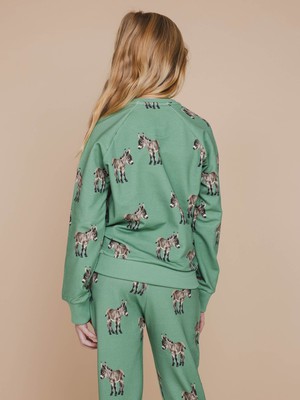 Donkeys Sweater Kids from SNURK
