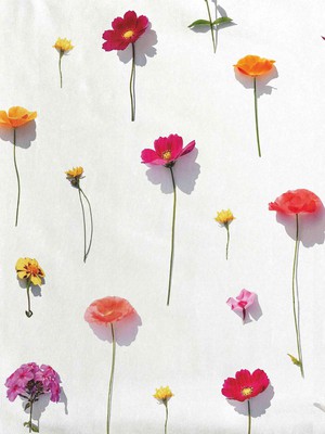 Bloom Shorts Kids from SNURK