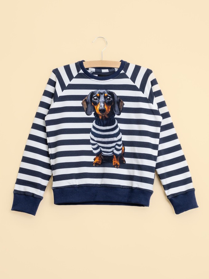 Pierre Sweater Kids from SNURK