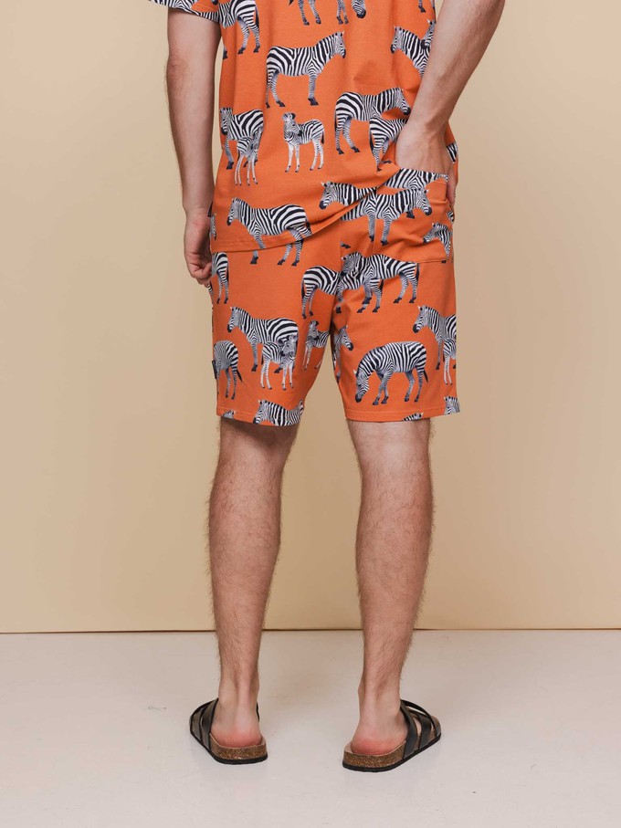 Zebras T-shirt en Shorts set Heren from SNURK