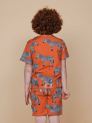 Zebras Shorts Kids from SNURK