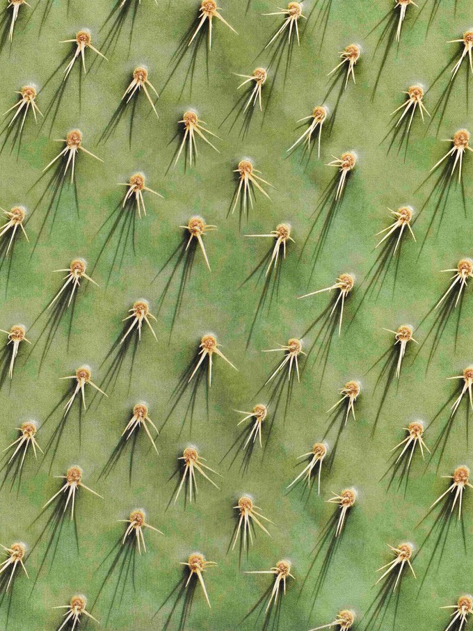 Cozy Cactus Shorts Heren from SNURK