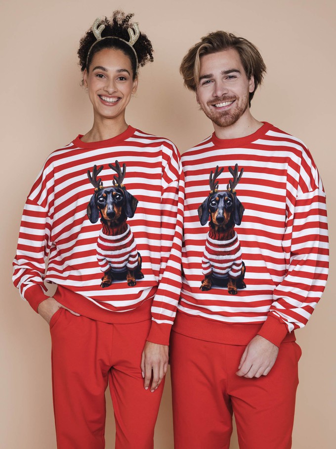 Pierre Xmas Sweater Unisex from SNURK