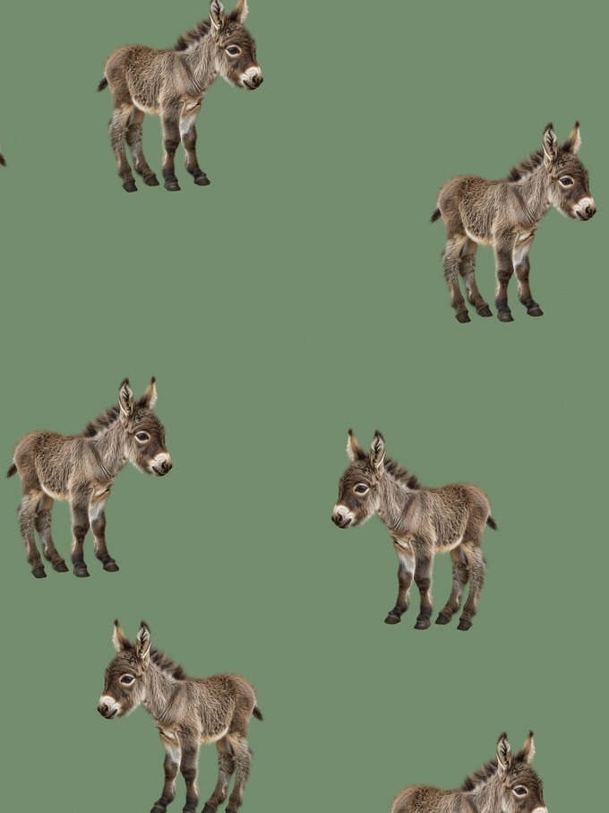 Donkeys Cropped T-shirt en Wijde broek set Kids from SNURK