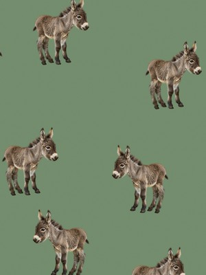 Donkeys Cropped T-shirt en Wijde broek set Kids from SNURK