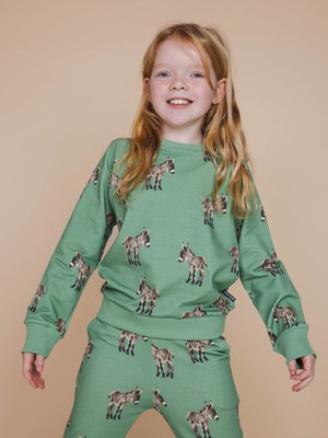 Donkeys Sweater Kids from SNURK