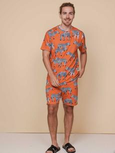 Zebras T-shirt en Shorts set Heren via SNURK