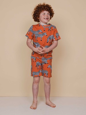 Zebras Shorts Kids from SNURK