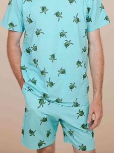Sea Turtles Shorts Heren via SNURK