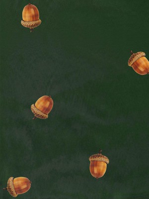 Winternuts Sweater Kids from SNURK