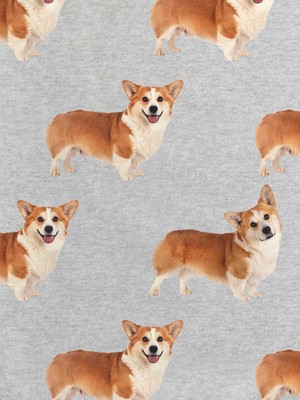 Corgi Time Broek Heren from SNURK