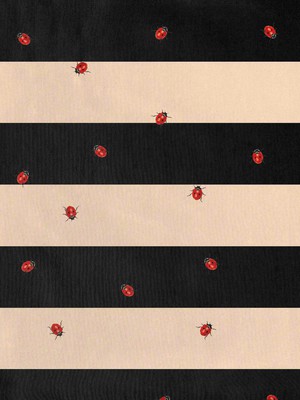 Ladybug Shorts Kids from SNURK