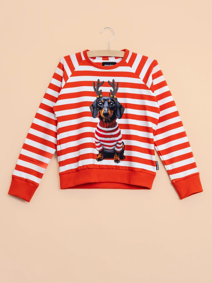 Pierre Xmas Sweater Kids from SNURK