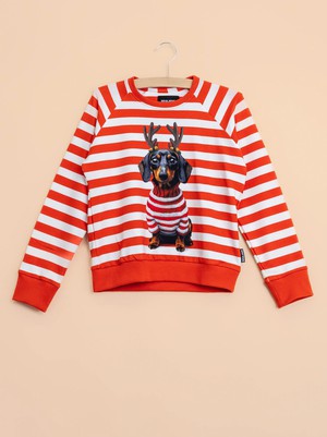 Pierre Xmas Sweater Kids from SNURK