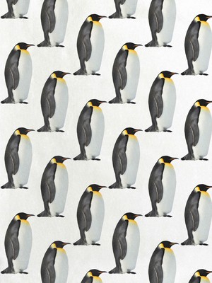 Penguin T-shirt lange mouwen Dames from SNURK