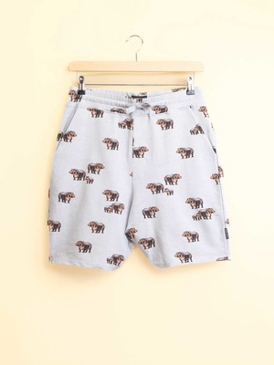 Hippos T-shirt en Shorts set Heren from SNURK