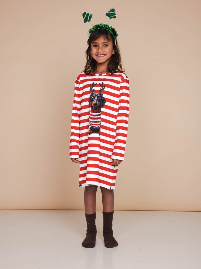 Pierre Xmas Long Sleeve Dress Kids from SNURK Pierre Xmas Long Sleeve Dress Kids from SNURK