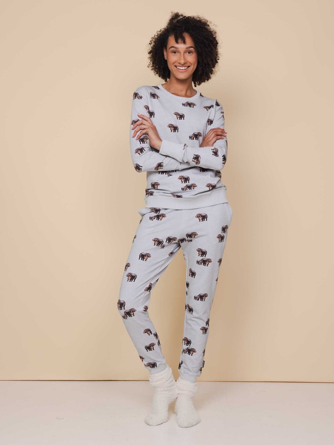 Hippos Broek Regular from SNURK