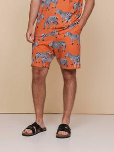Zebras Shorts Heren via SNURK