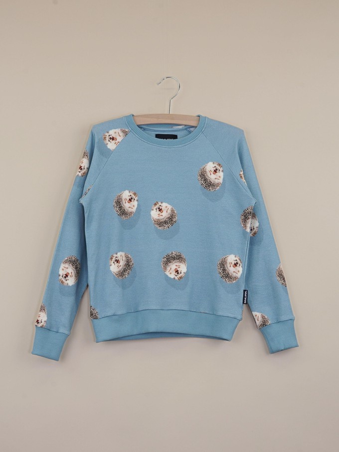 Hedgy Blue Trui en Broek set Kinderen from SNURK