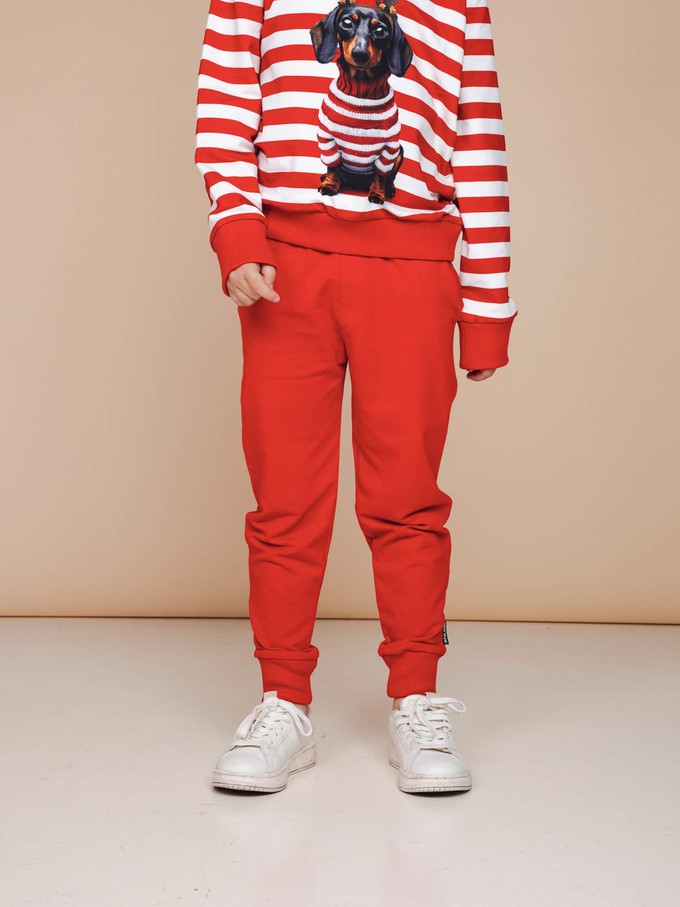Pierre Xmas Sweater en Broek set Kids from SNURK