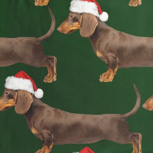 James Xmas Sweater Heren from SNURK