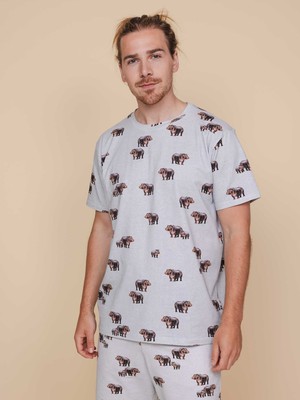 Hippos T-shirt en Shorts set Heren from SNURK