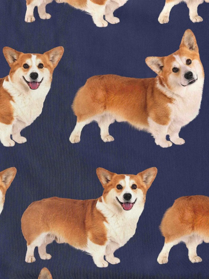 Corgi Navy Shorts Kids from SNURK
