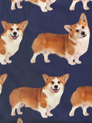 Corgi Navy Shorts Kids from SNURK