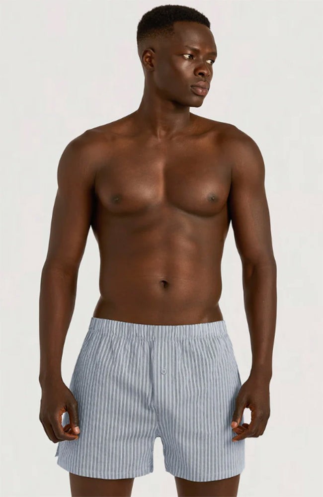 Core Icon boxers 2-pack stripes blue from Sophie Stone