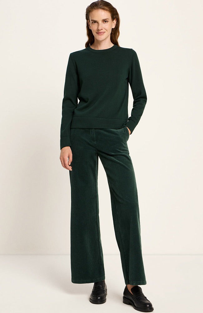 Trui forest from Sophie Stone