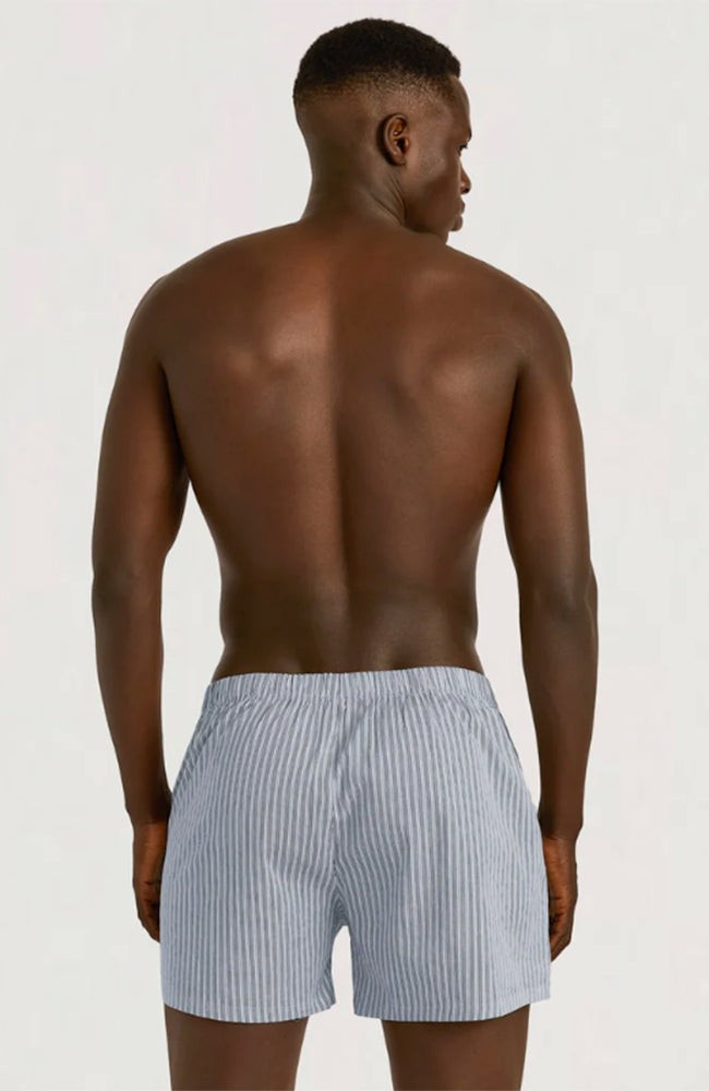 Core Icon boxers 2-pack stripes blue from Sophie Stone