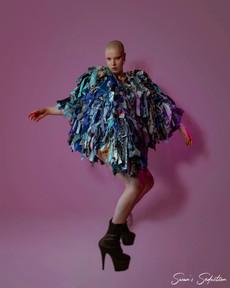 Blue bird (Rental) via Stephastique