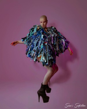 Blue bird (Rental) from Stephastique