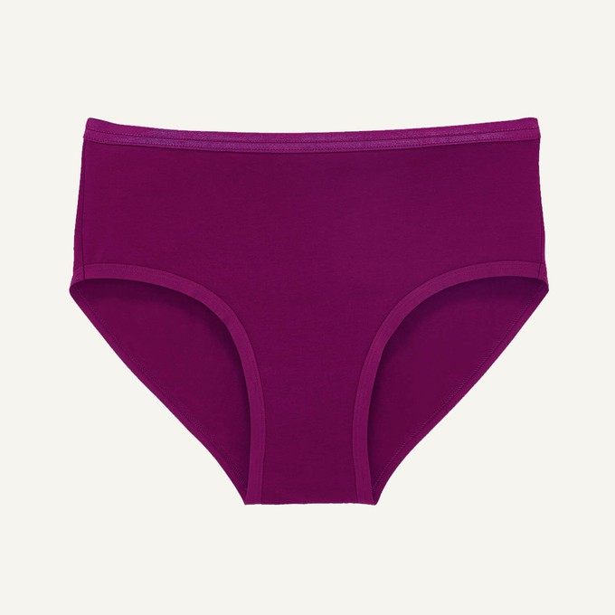 SALE Mid-Rise Brief in Sugar Plum from Subset
