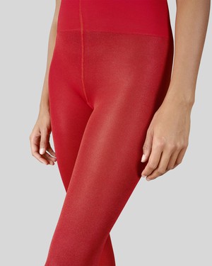 Geri Glossy Tights from Swedish Stockings